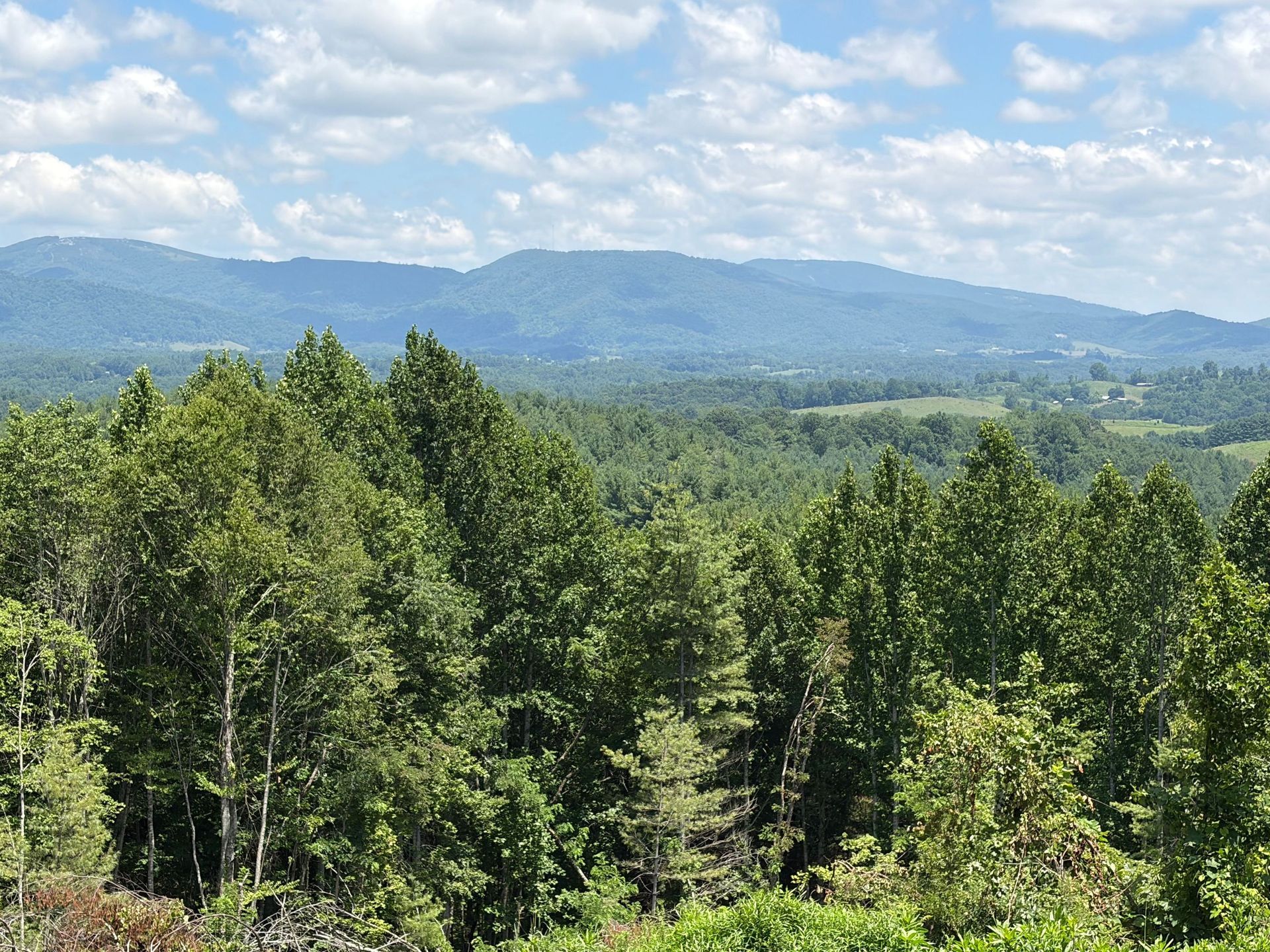 Forested mountains under a bright blue sky with scattered clouds