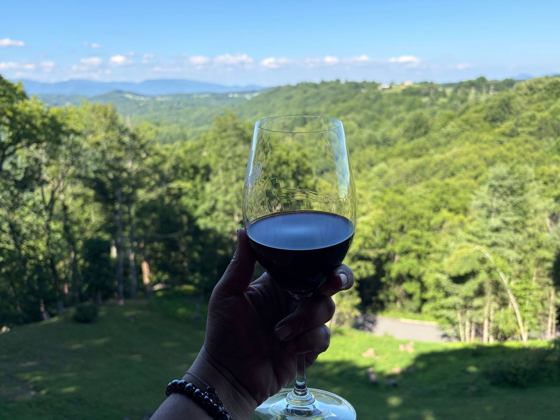 Hand holding a small bowl with a scenic green valley and blue sky in the background