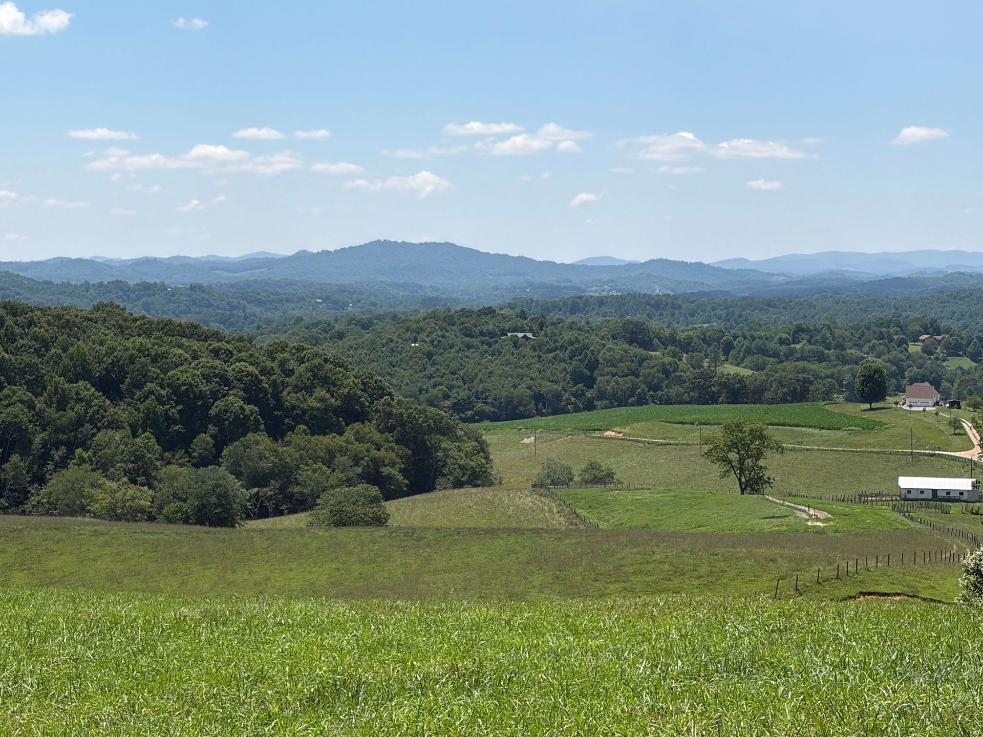 Green field overlooking a forested valley and distant mountains under a blue sky