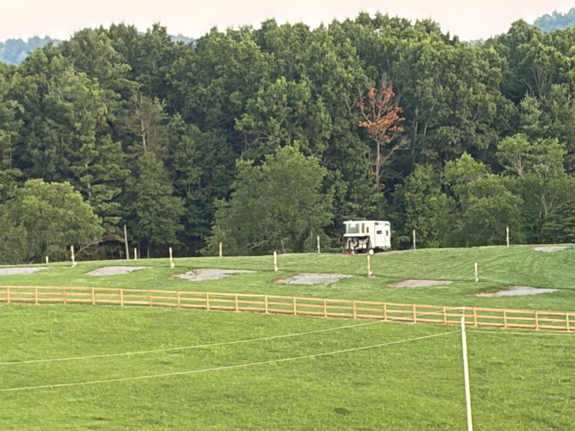 Grassy field with a wooden fence, small white building, and dense green trees in the background