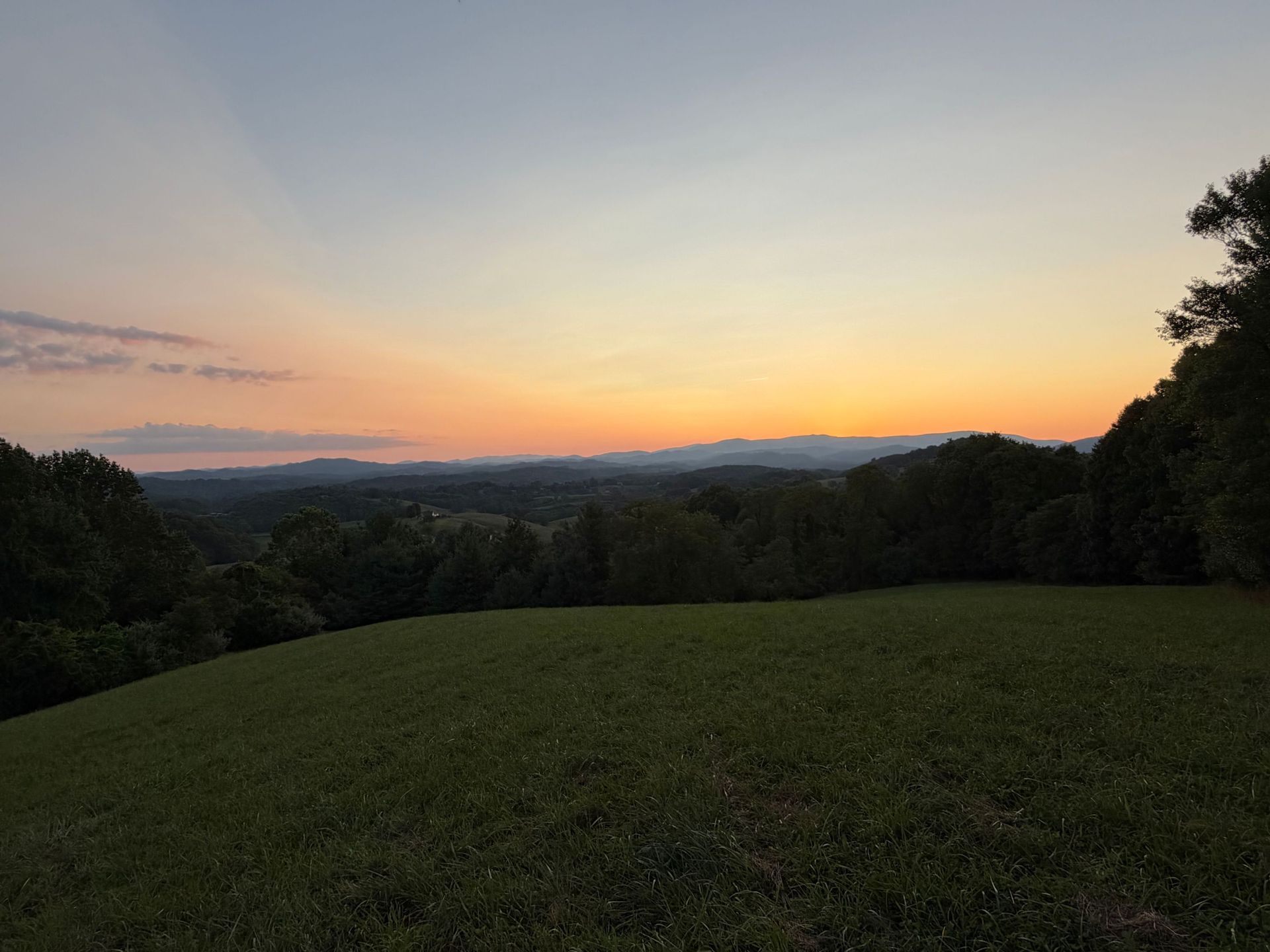 Sunset over a grassy field with dark trees and distant hills under a pink-orange sky