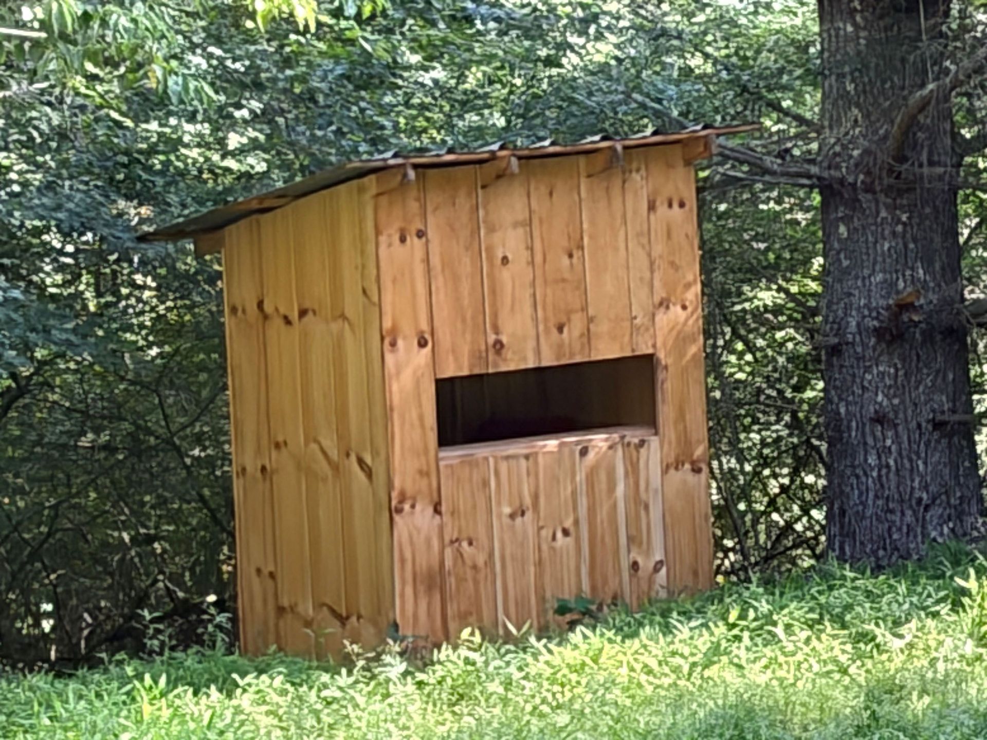 Small wooden shed with a window in a wooded area, surrounded by grass and trees.
