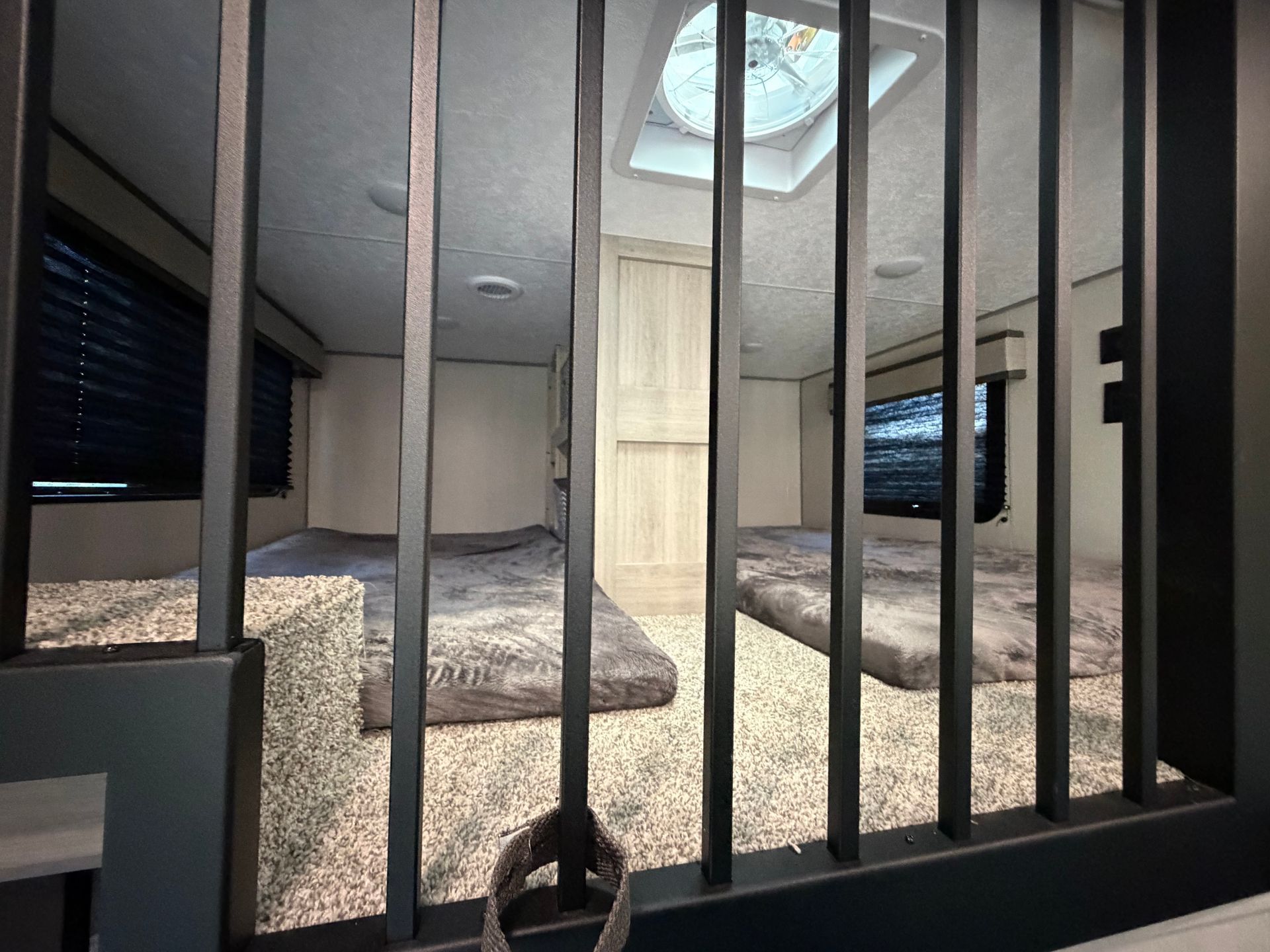 Looking through black bars into a cozy cat room with carpeted steps, shelves, and a skylight.