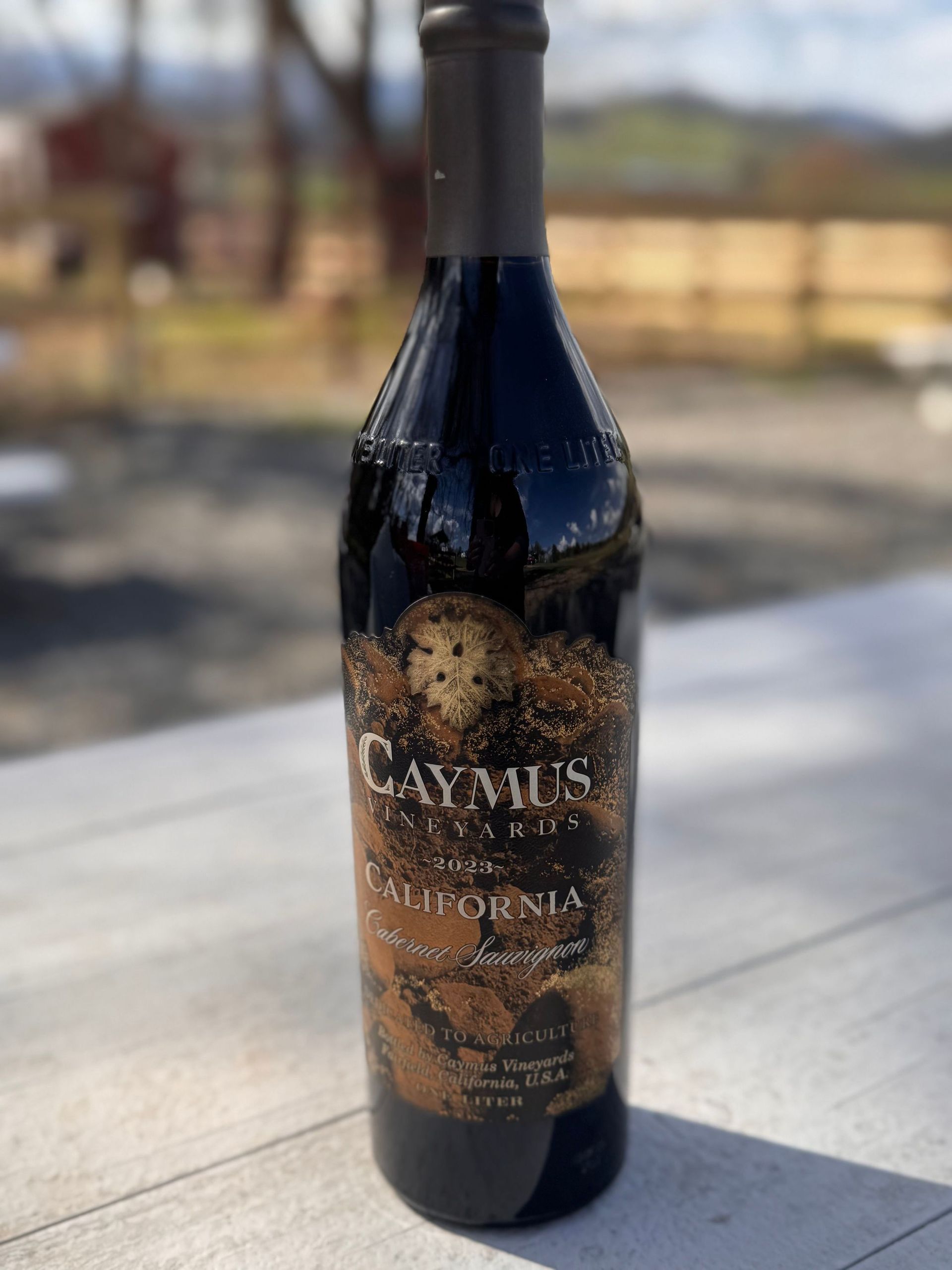 Wine bottle standing on a sunlit table outdoors with a blurred yard in the background