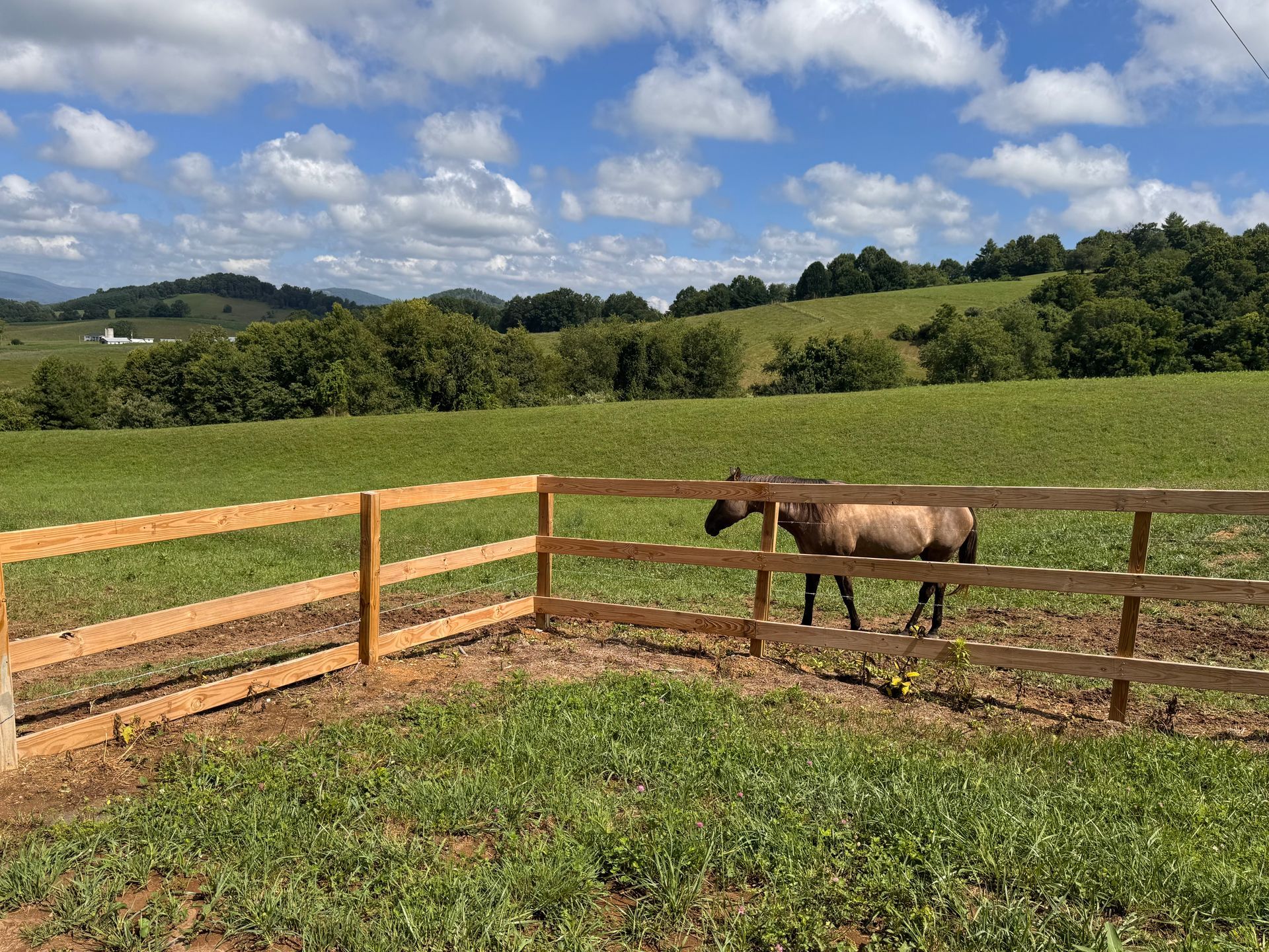 Horse standing in a fenced green pasture with hills and cloudy sky in the background