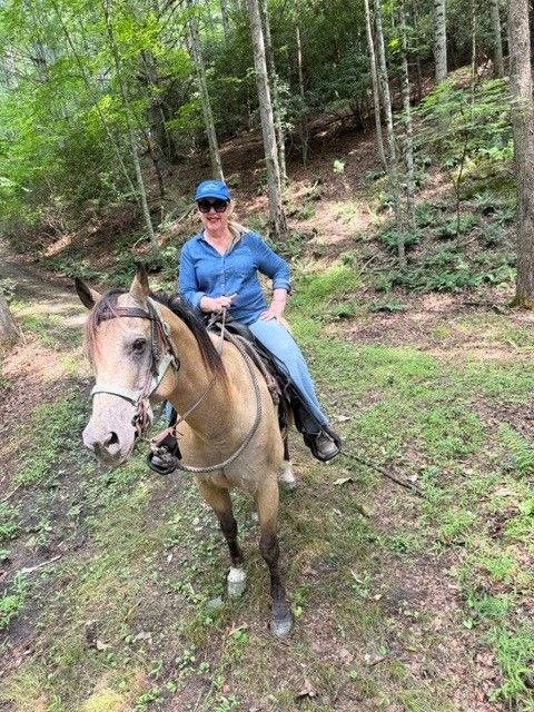 Person in a blue shirt and cap riding a tan horse on a forest trail.