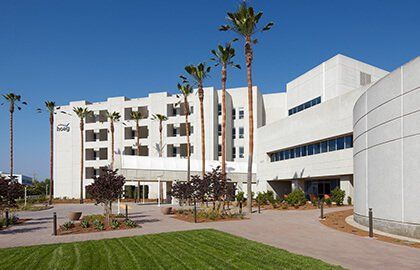 Modern white building with palm trees, blue sky, and a landscaped walkway