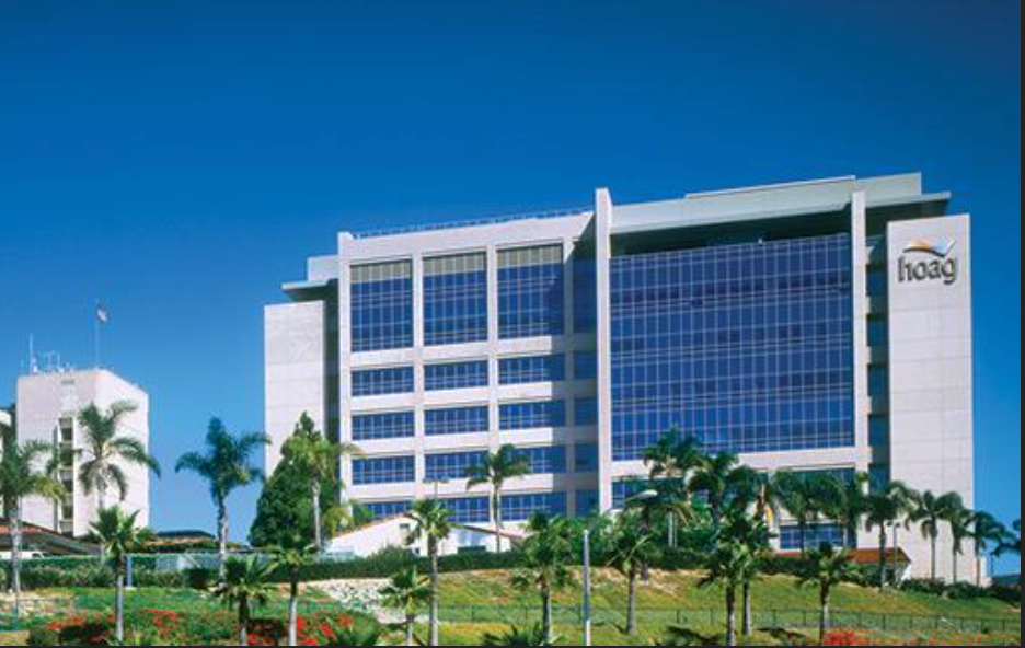 Modern office building with blue glass windows, palm trees, and a clear blue sky