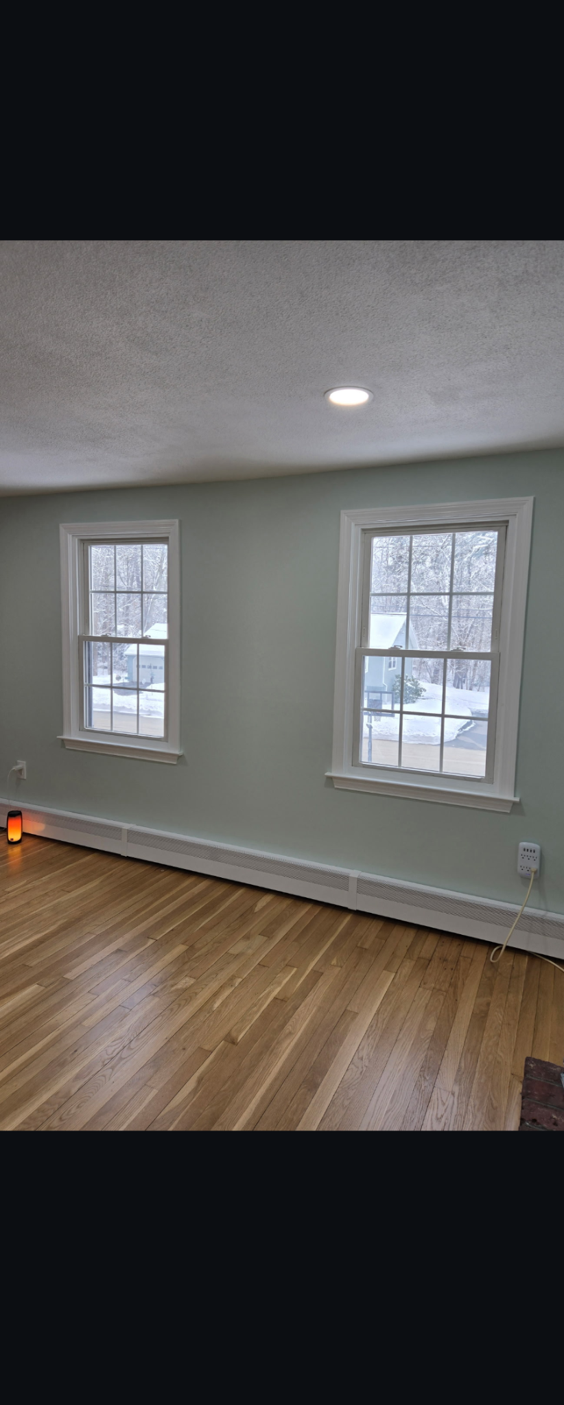 Empty room with hardwood floor, white walls, two windows, and a ceiling light.