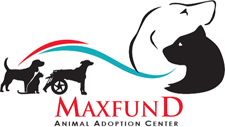 Maxfun Animal Adoption Center logo with dogs, cat, horse, and red and teal swooshes