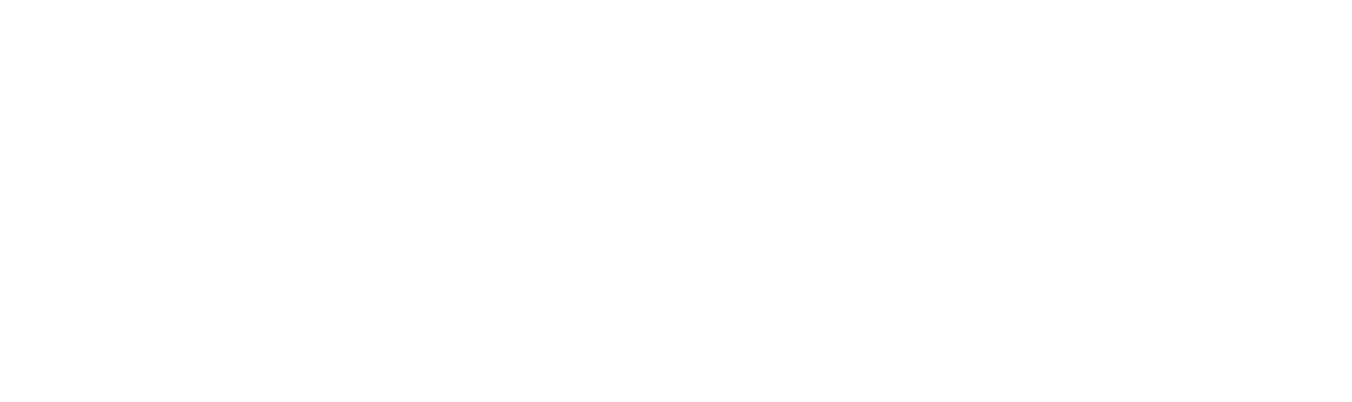 Blank white horizontal rectangle with a thin black border and a pale gray bar along the top.