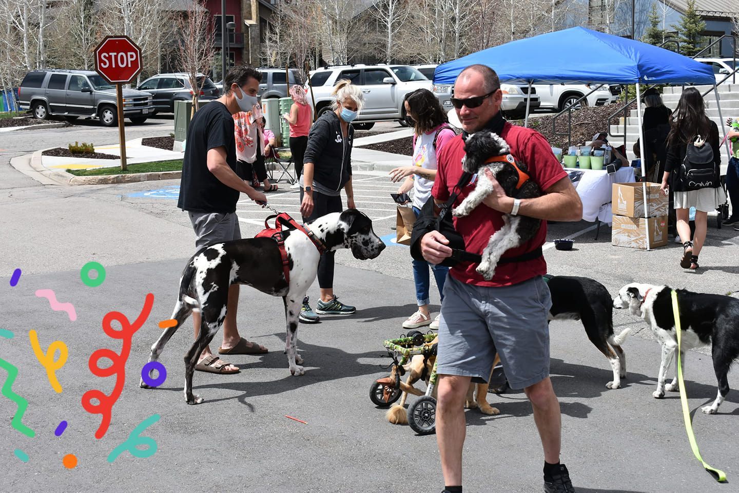 People walk their dogs in a paved area near a tent and a 