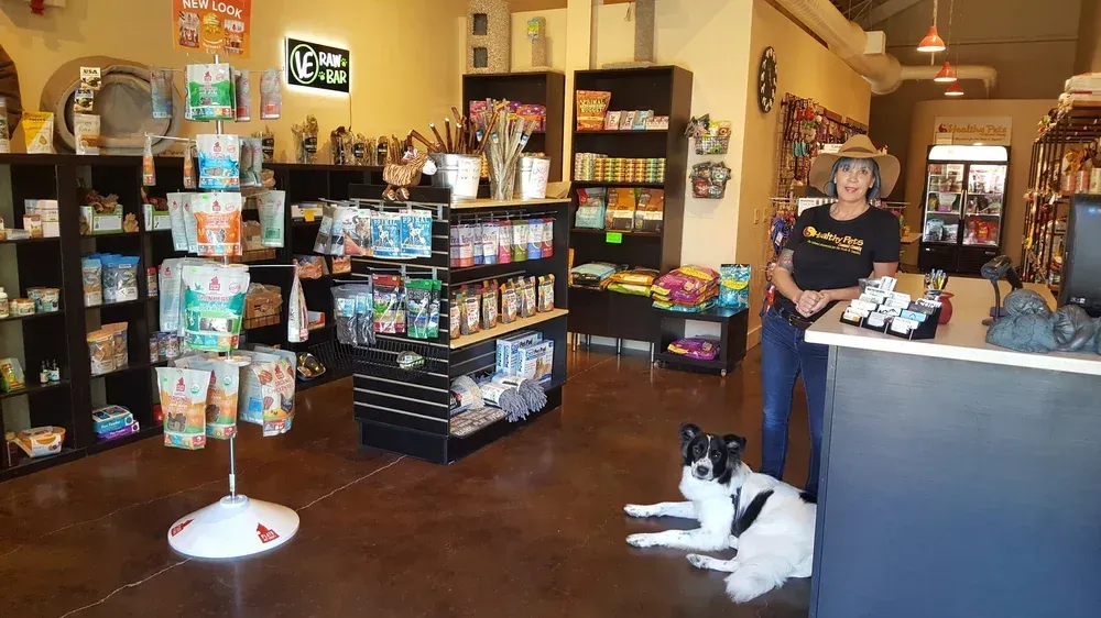 A person pets a large, fluffy, cream-colored Great Pyrenees dog standing on a mat inside a store.
