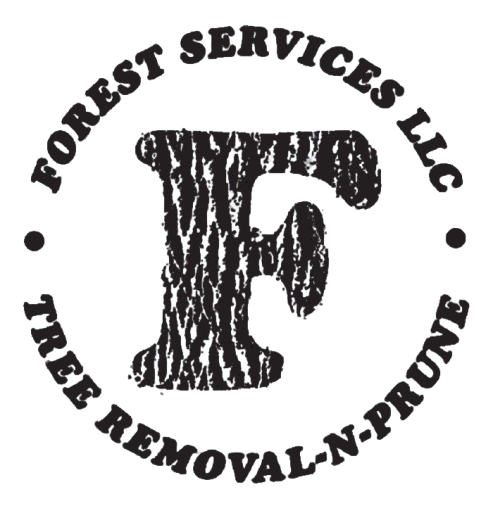 Tree Service in Appleton, WI | Forest Services Tree Service in Appleton, WI | Forest Services