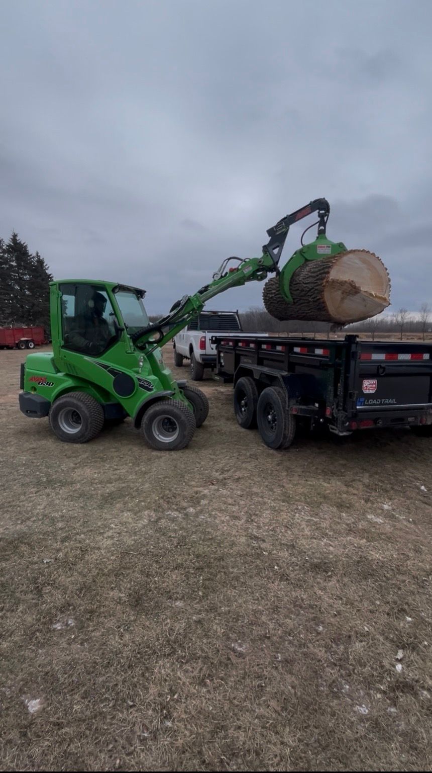 Tree Removal in Appleton, WI