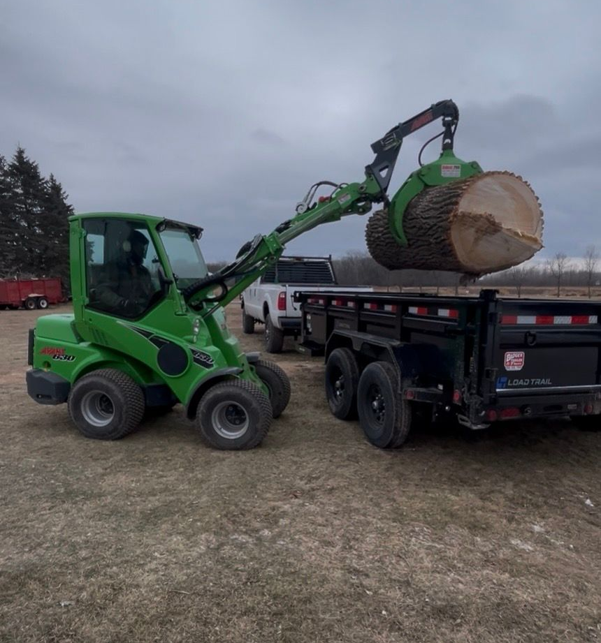 Tree Removal in Appleton, WI Tree Removal in Appleton, WI