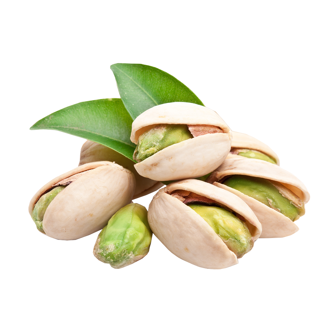 CONTACT THE PISTACHIO TEAM FOR QUALITY PISTACHIOS IN BULK