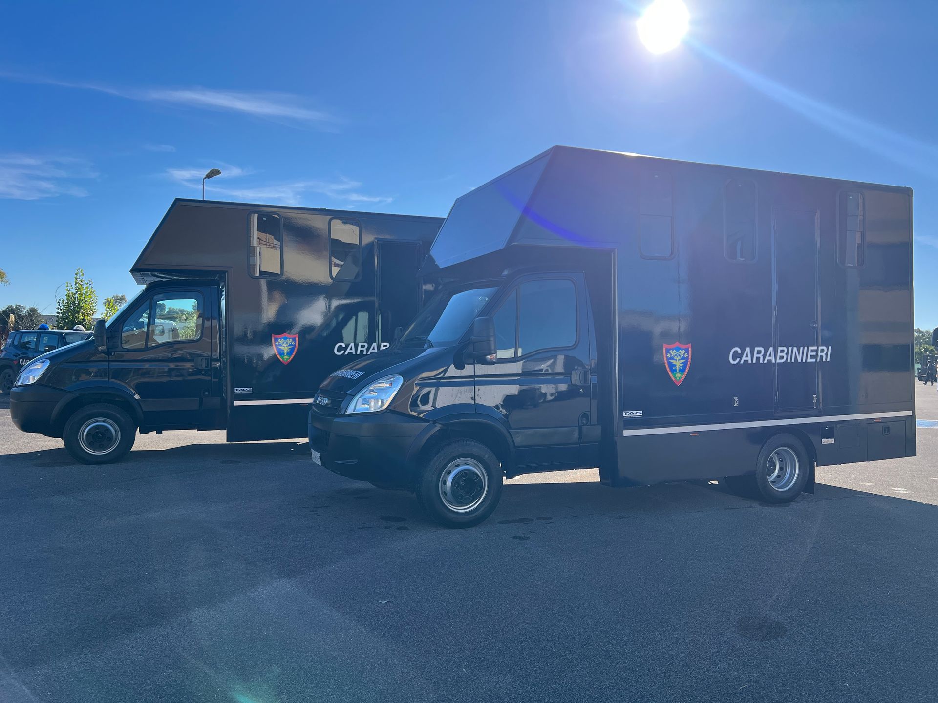 trasporto cavalli