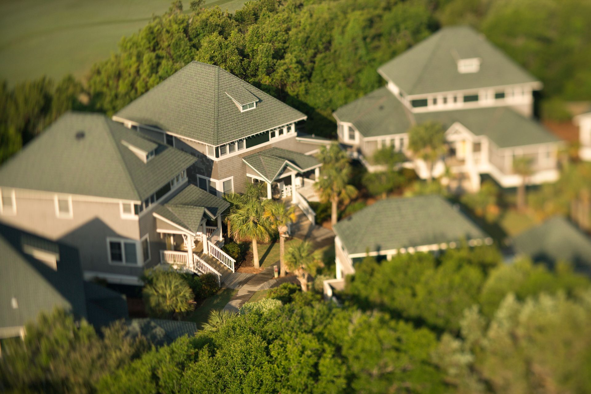 A group of houses are sitting on top of a hill surrounded by trees.