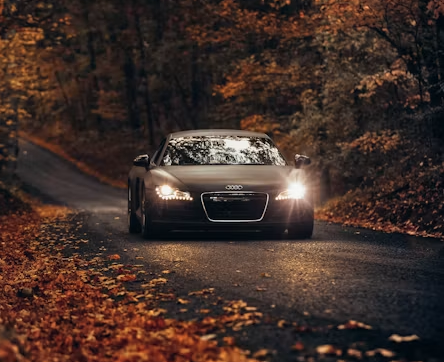 Black sports car driving on a winding forest road covered in autumn leaves at dusk