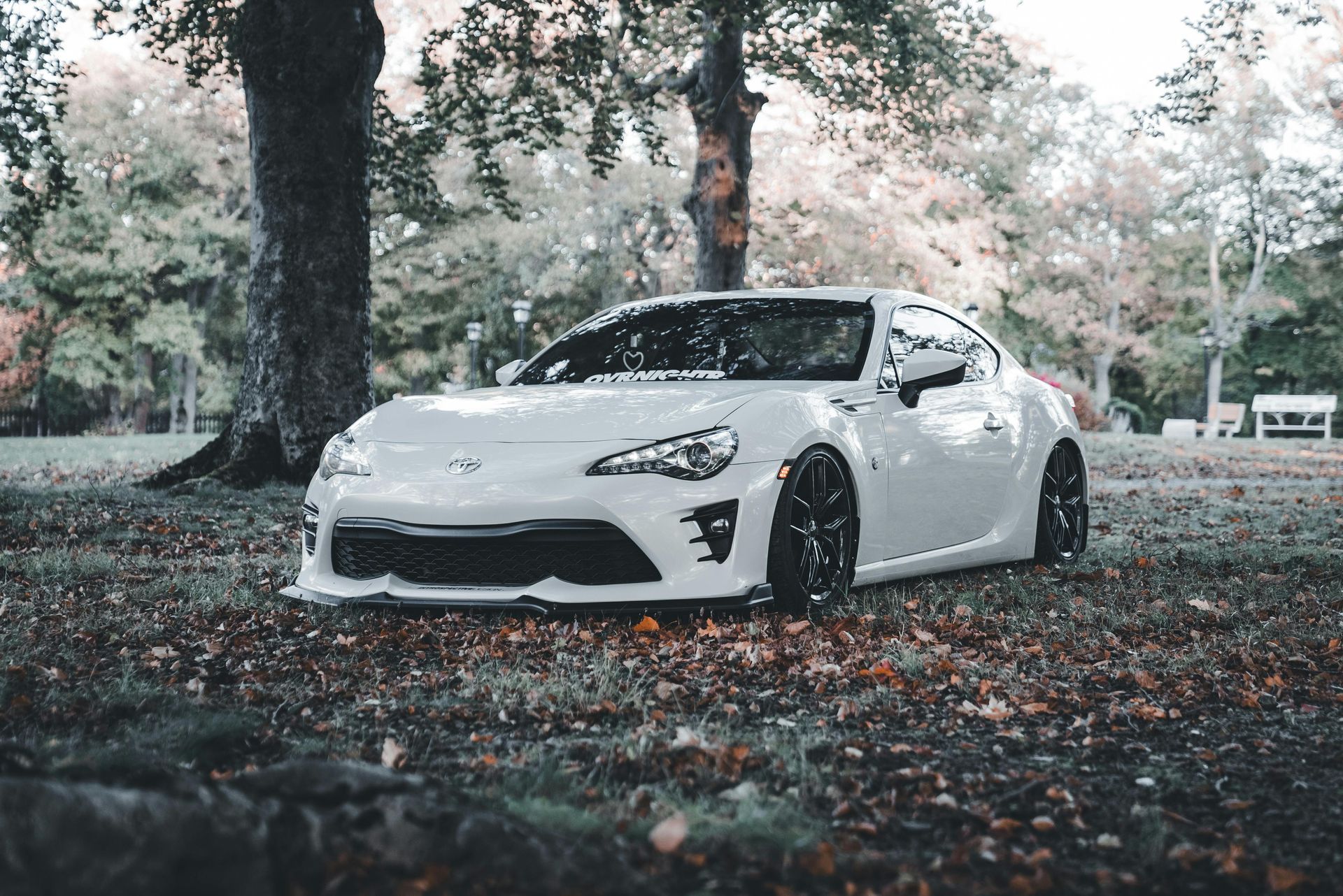 A white car is parked under a tree in a park.