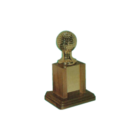 bronzed throphy
