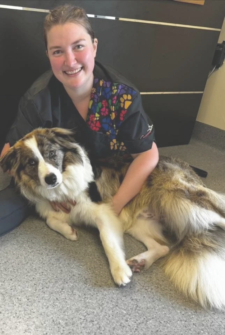 Imogen, Pet Groomer — Tanilba Bay Vet in Tanilba Bay, NSW