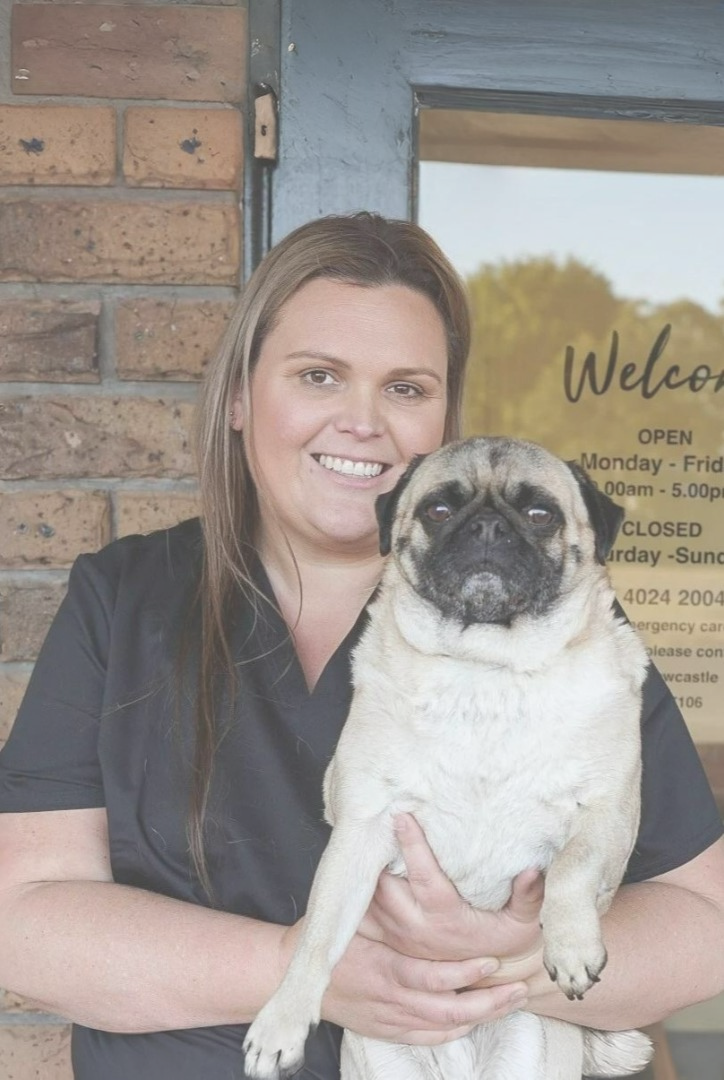 Emilie, Head of Operations and Planning — Tanilba Bay Vet in Tanilba Bay, NSW