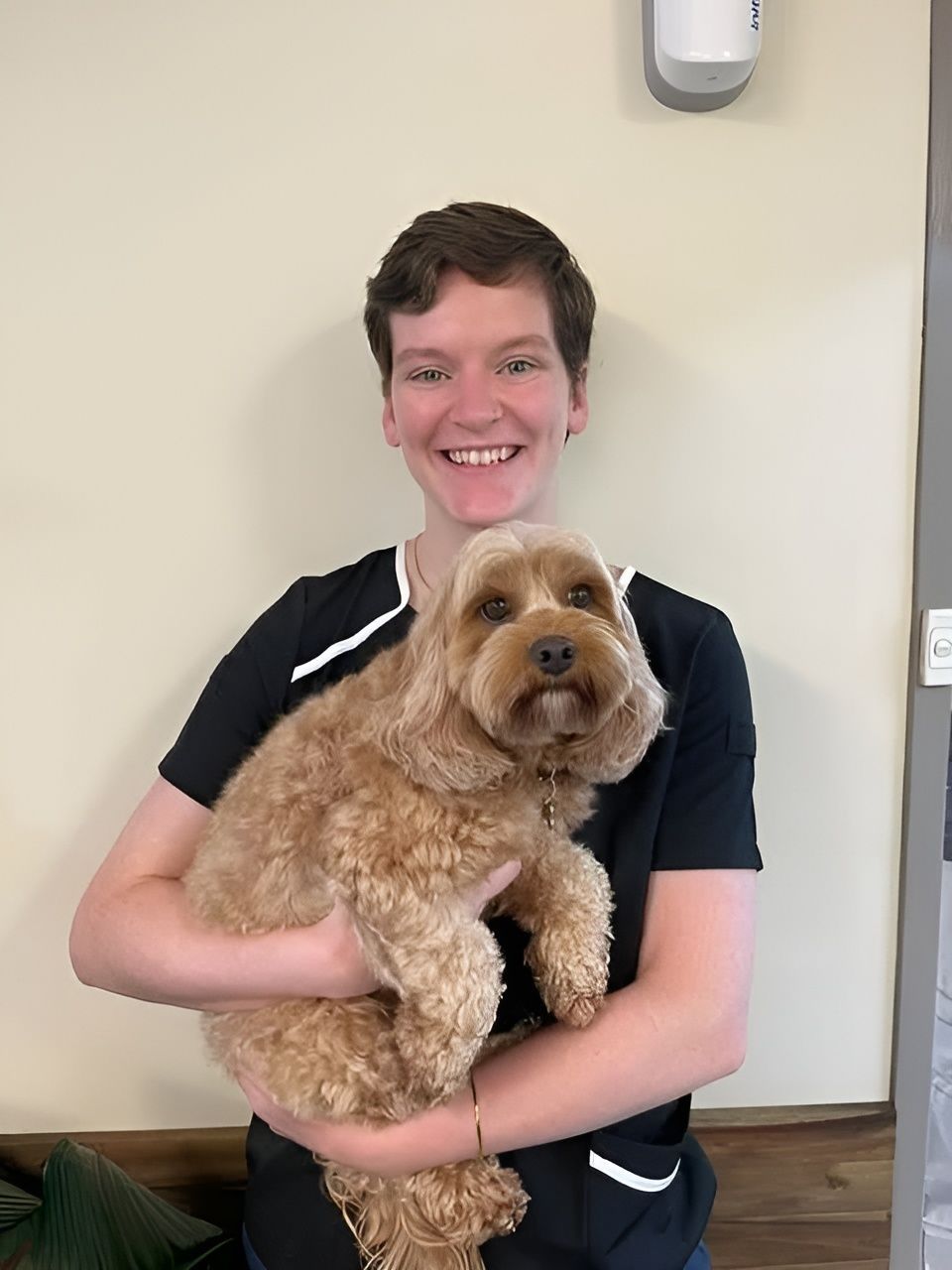 Dr Leah, Vet — Tanilba Bay Vet in Tanilba Bay, NSW