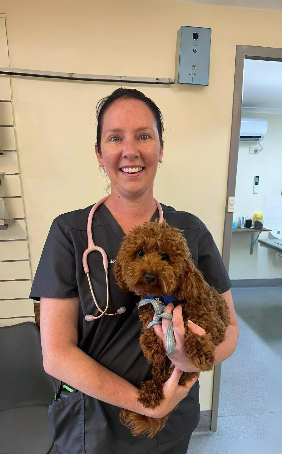 Alison, Senior Vet Nurse — Tanilba Bay Vet in Tanilba Bay, NSW