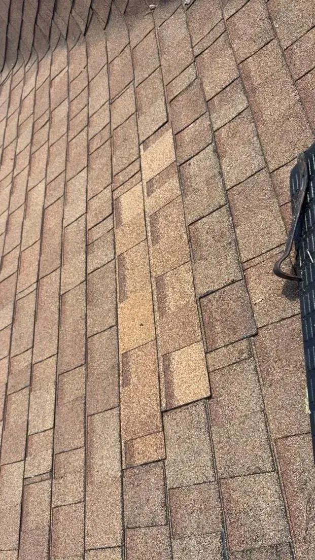 replaced roofing shingle by All American Property S