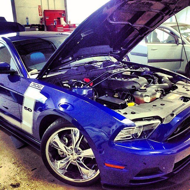 Blue Ford Mustang with the hood up in a garage. Chrome wheels, white stripe, and red tool cabinet.