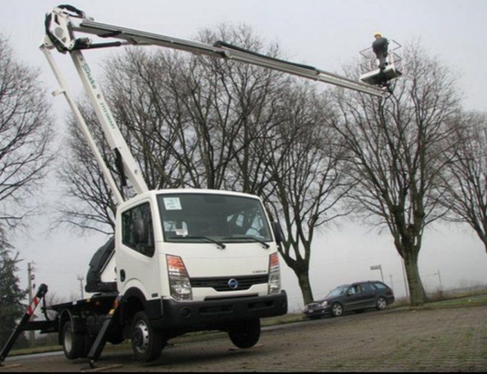 Un camioncino bianco con piattaforma elevatrice e due operai intenti a potare alberi sul ciglio di una strada nebbiosa.