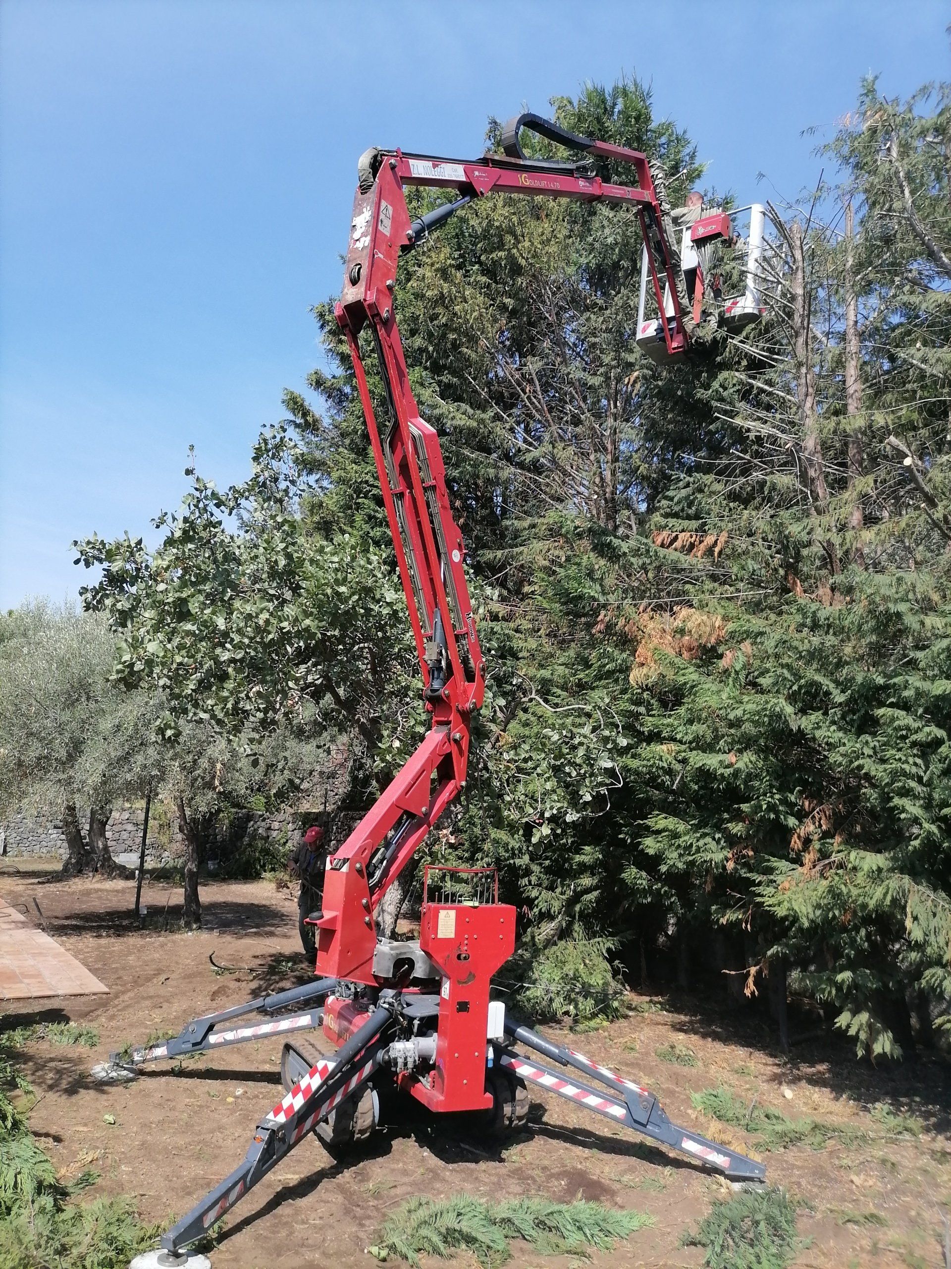 Una piattaforma aerea rossa si protende verso un albero in un frutteto in una giornata di sole.