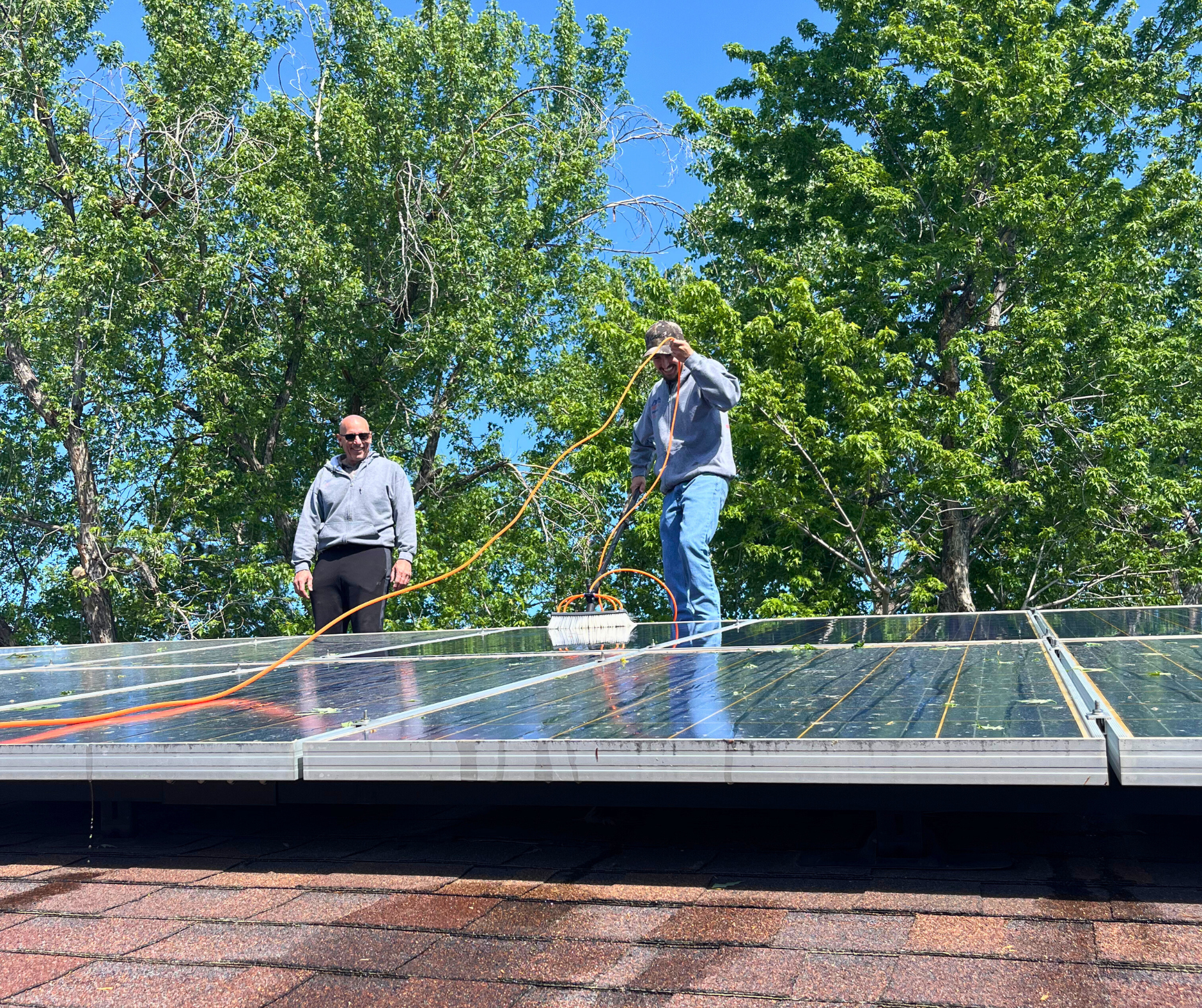 A row of blue solar panels against a blue sky