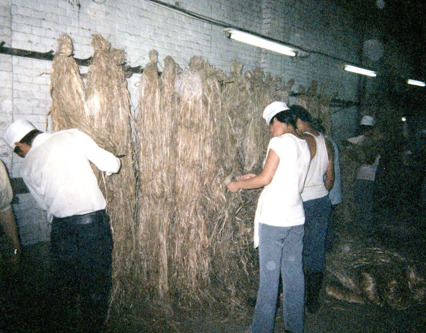 A group of people are working on a pile of hay