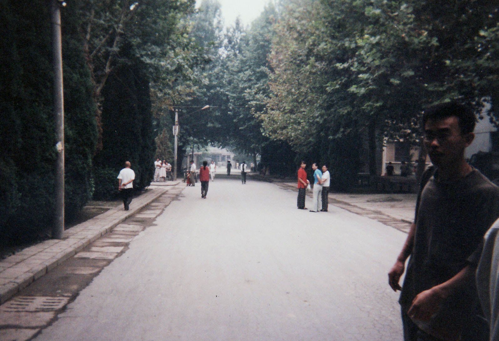 A group of people are walking down a street lined with trees