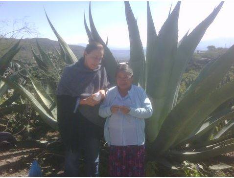 A man and a woman standing next to a large plant