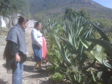 Two women are standing next to each other in a field of plants
