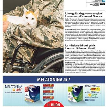 Un gatto bianco con una giacca mimetica accanto a un articolo di un giornale italiano e a pubblicità di farmaci per animali domestici.