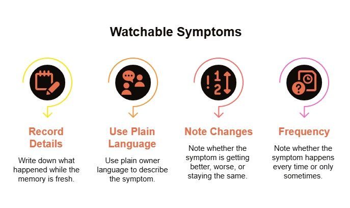 Car symptom assessment funnel guiding drivers to describe symptoms, explain onset, identify triggers, add details, and assess severity for mechanics.