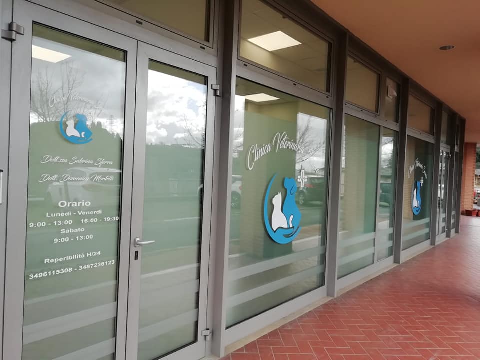 clinica veterinaria senese
