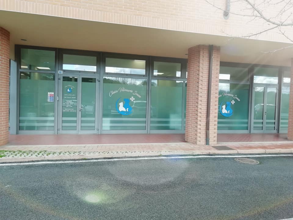 clinica veterinaria senese