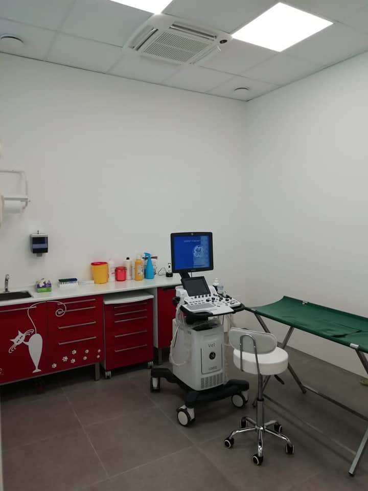 clinica veterinaria senese