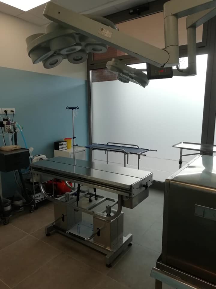clinica veterinaria senese