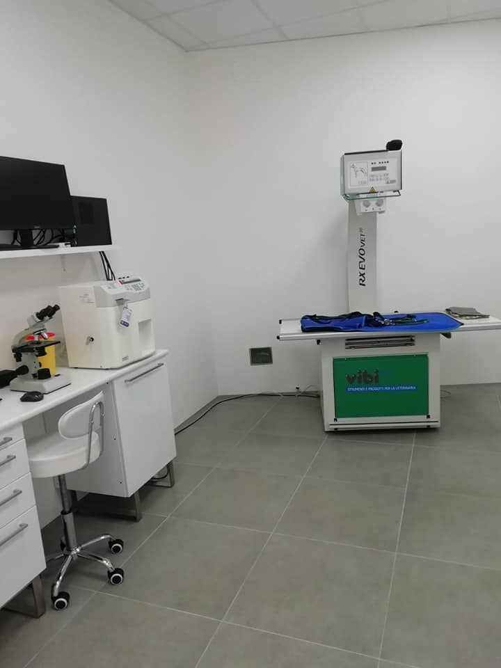clinica veterinaria senese