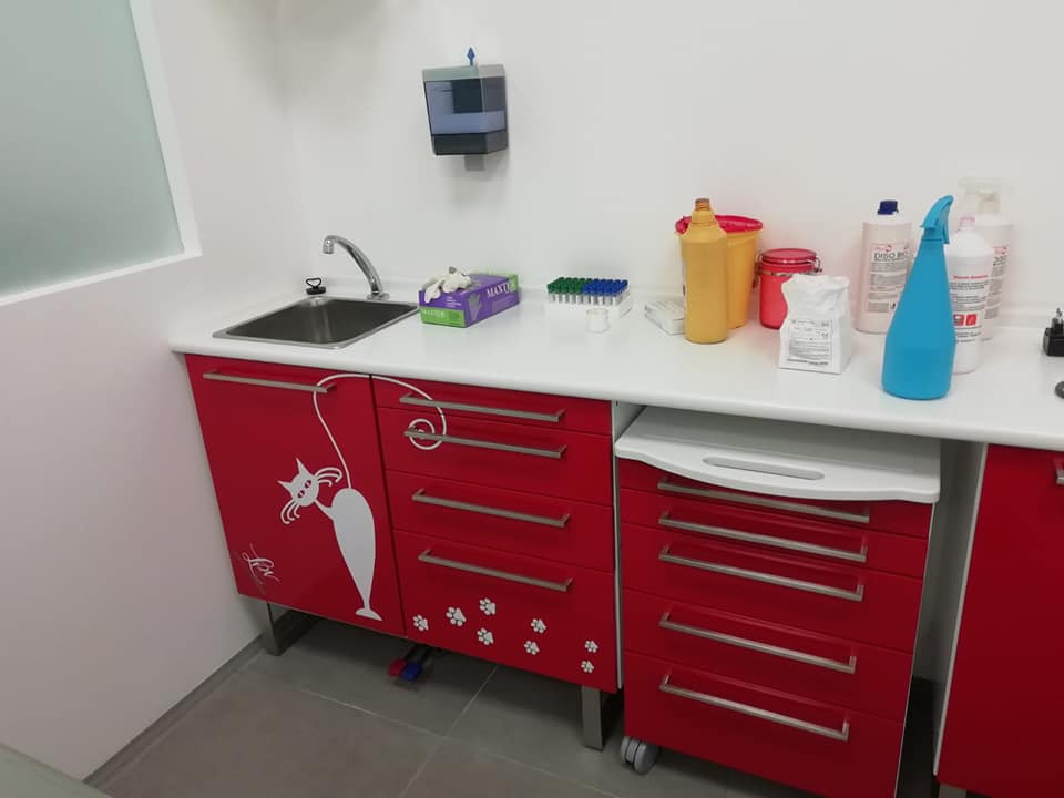 clinica veterinaria senese