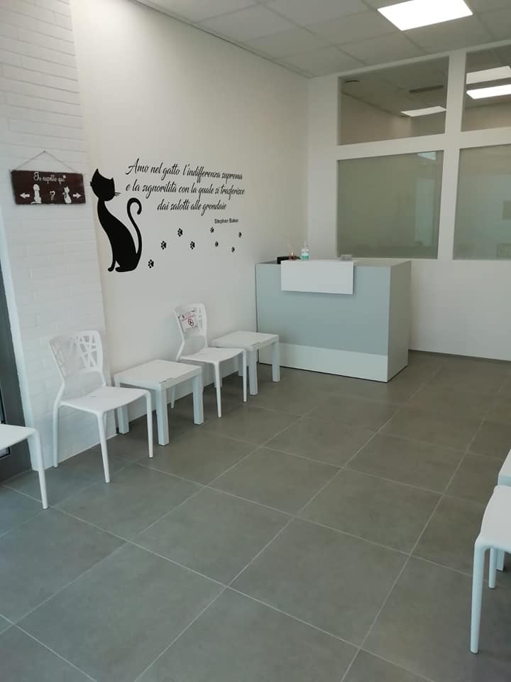 clinica veterinaria senese