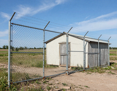 Security fencing