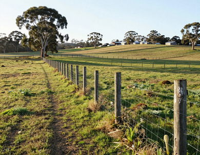 Farm fencing